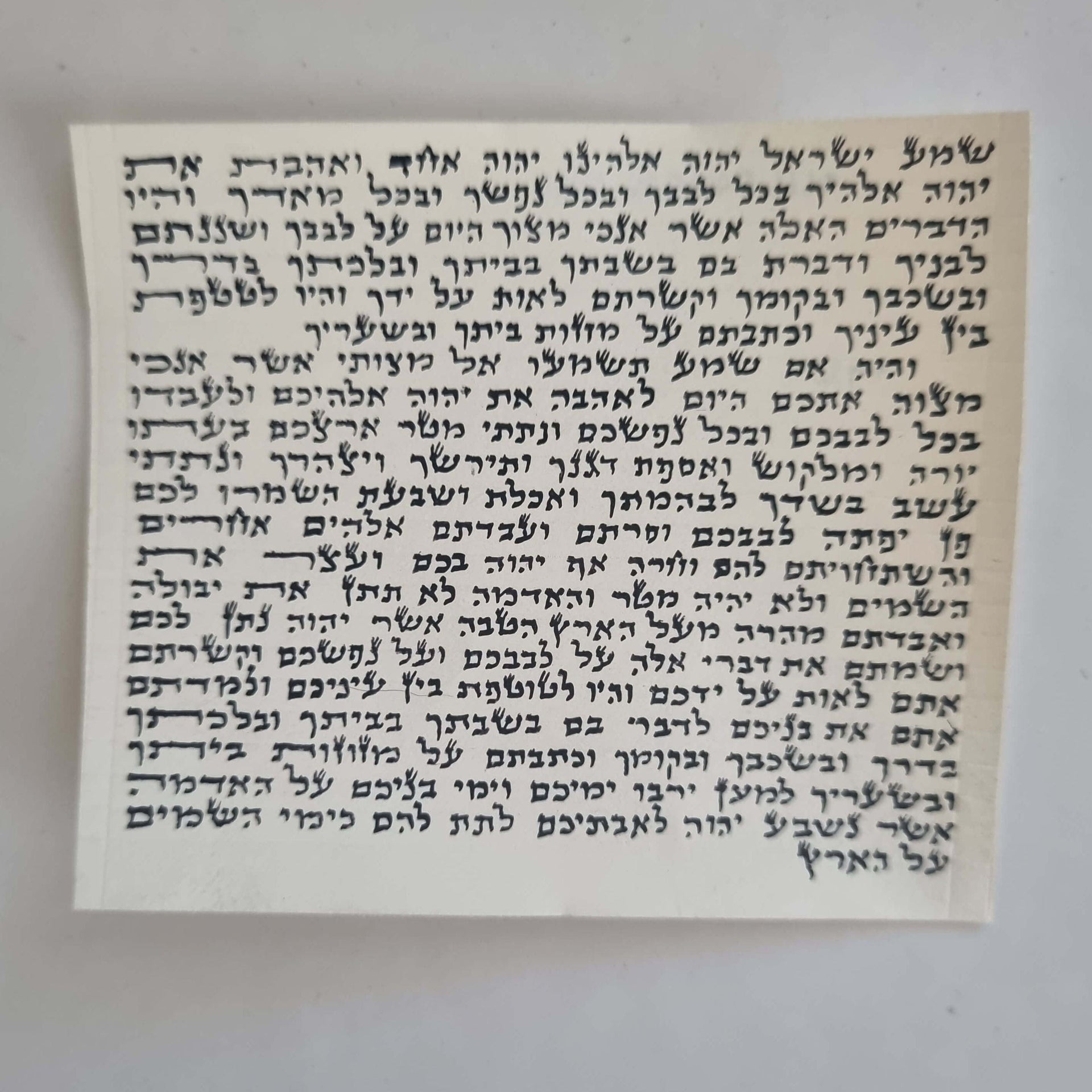 Vashti Mezuzahs Kosher Mezuzah Parchment Scroll (Klaf)