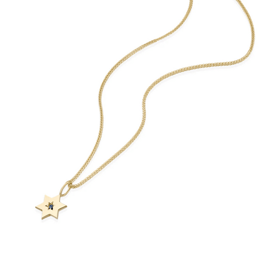 Gaza Envelope Shield Star of David Necklace with a Blue Sapphire - 14k Yellow, Rose or White Gold