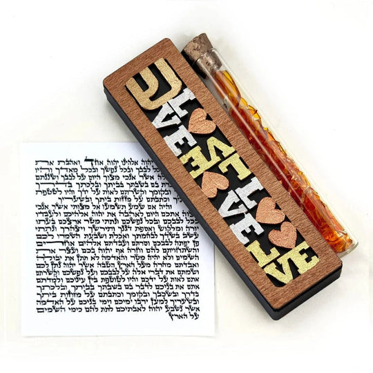 Love Smash Glass Mezuzah by Glenn Grubard - (Black or Bronze)