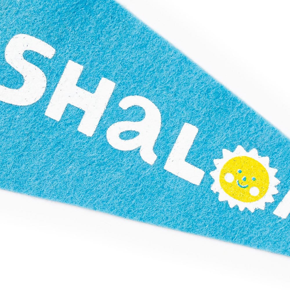 Suzy Ultman Wall Art Shalom Pennant