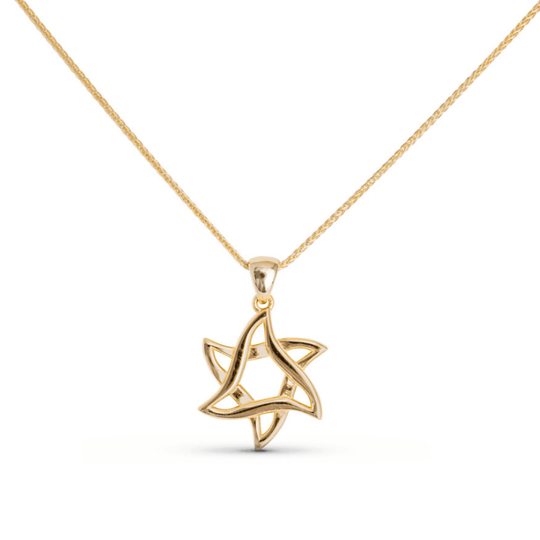 Weave Star of David Necklace by Israel Museum - 14k Gold