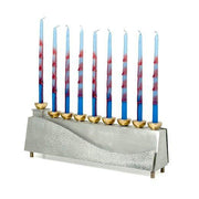 Joy Stember Menorahs Negev Menorah by Joy Stember