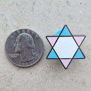 Lynn Factor Designs Brooches & Pins Trans Jewish Pride Pin