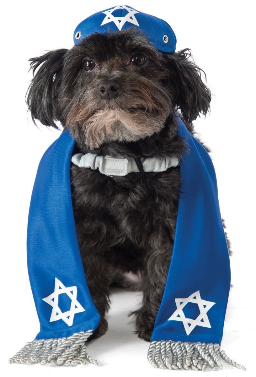 Other Pet Toy Dog Yarmulke and Tallis Set