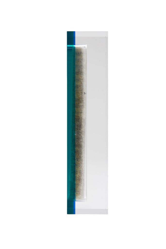 Apeloig Collection Mezuzahs Acrylic Mezuzah - (Choice of Colors)