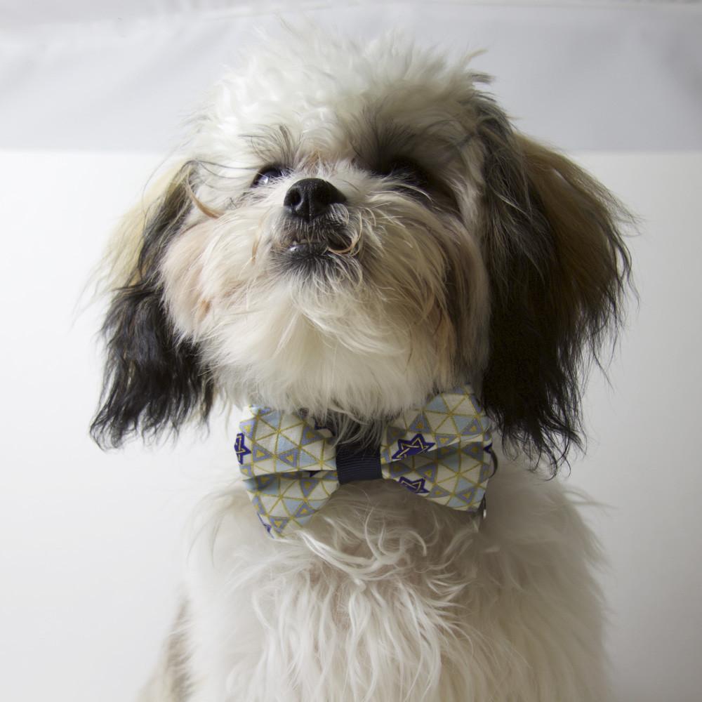 ChuckleHound Pet Toy Jewish Pet Bowtie