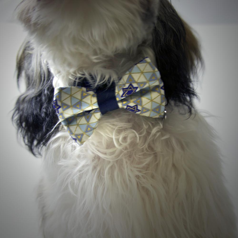 ChuckleHound Pet Toy Jewish Pet Bowtie