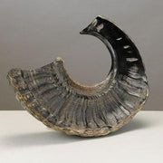 Rite Lite Shofars Small Shofar