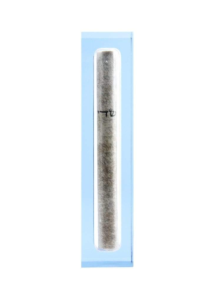 Apeloig Collection Mezuzahs Baby Blue Acrylic Mezuzah - (Choice of Colors)