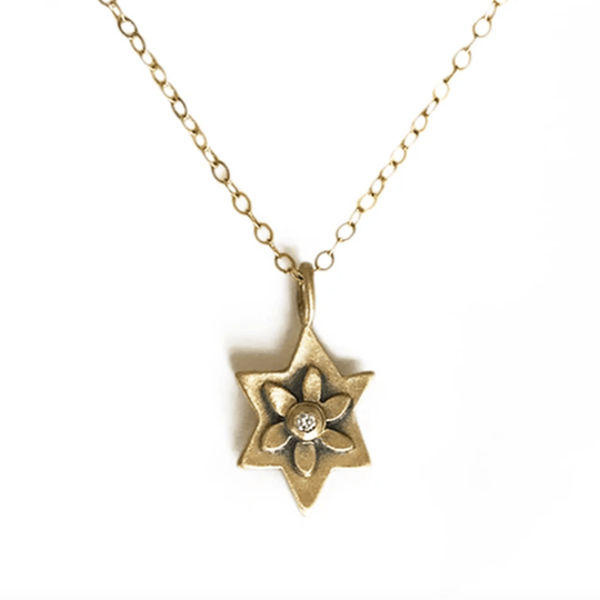 14k Gold Botanical Star of David Necklace by Emily Rosenfeld - Choice of Gemstone