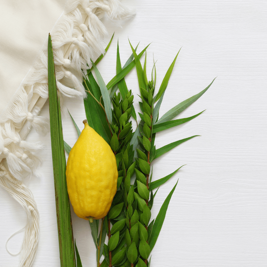 Got Etrog? Etrog Holders Default Premium Etrog & Lulav Set from Israel