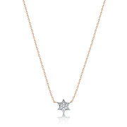 Alef Bet Necklaces Rose Gold Petite Diamond Jewish Star Necklace in 14k Gold, White Gold or Rose Gold