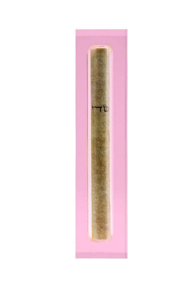Apeloig Collection Mezuzahs Pink Acrylic Mezuzah - (Choice of Colors)