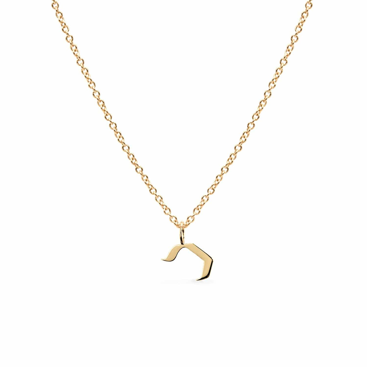 HOTCROWN - Personalized Hebrew Initial Necklace - 14k Yellow, Rose or White Gold - ModernTribe