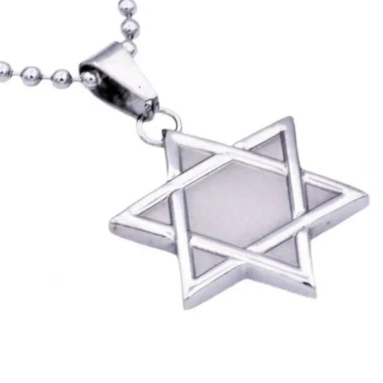 Men's Stainless Steel Star of David Necklace