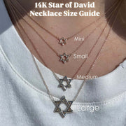 Izakov Fine Jewelry Necklaces Star of David Gold Necklace - 14k Yellow, White or Rose Gold