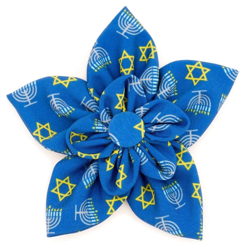 The Worthy Dog - Hanukkah Pet Flower Collar Attachment - ModernTribe