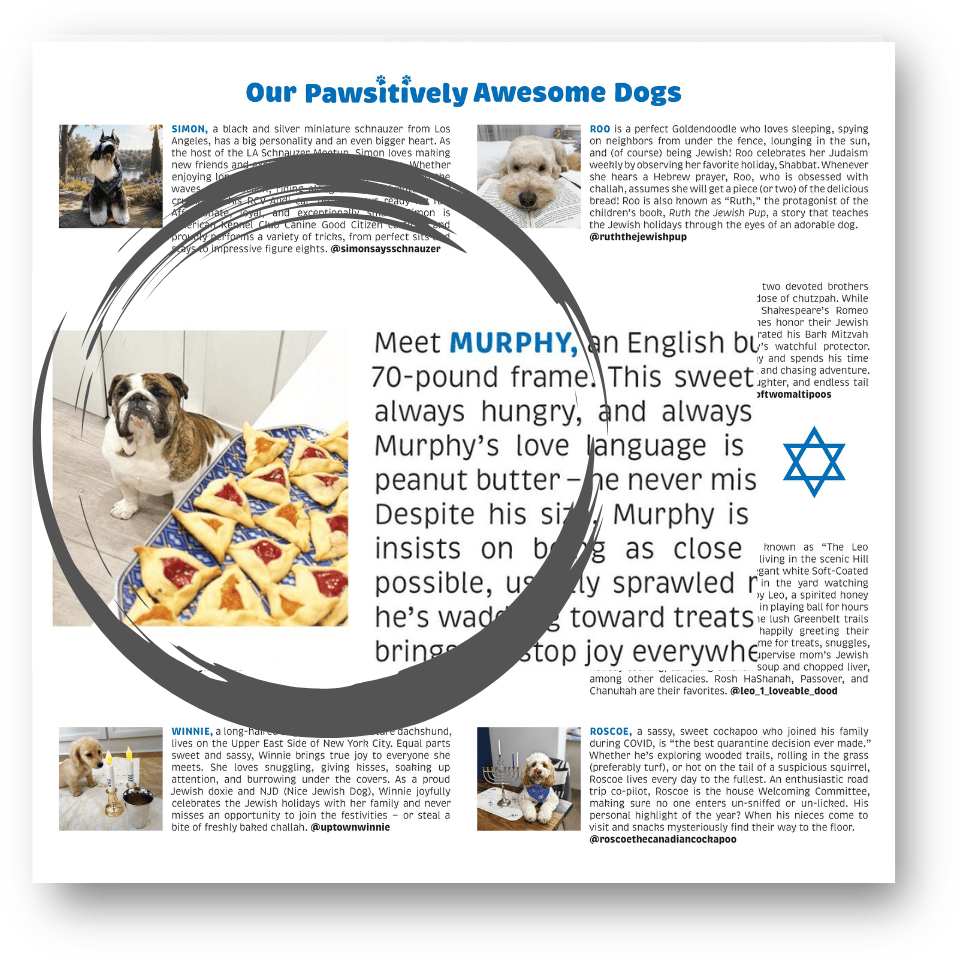 Mazel Pups - Pawsitively Jewish 2027 Calendar - ModernTribe