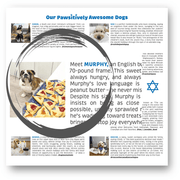 Mazel Pups - Pawsitively Jewish 2027 Calendar - ModernTribe
