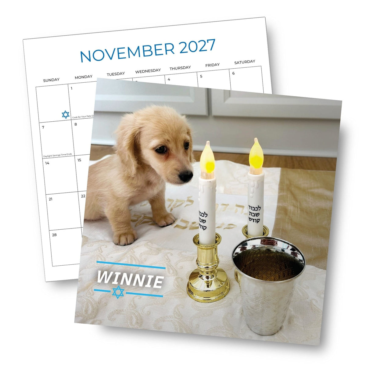 Mazel Pups - Pawsitively Jewish 2027 Calendar - ModernTribe