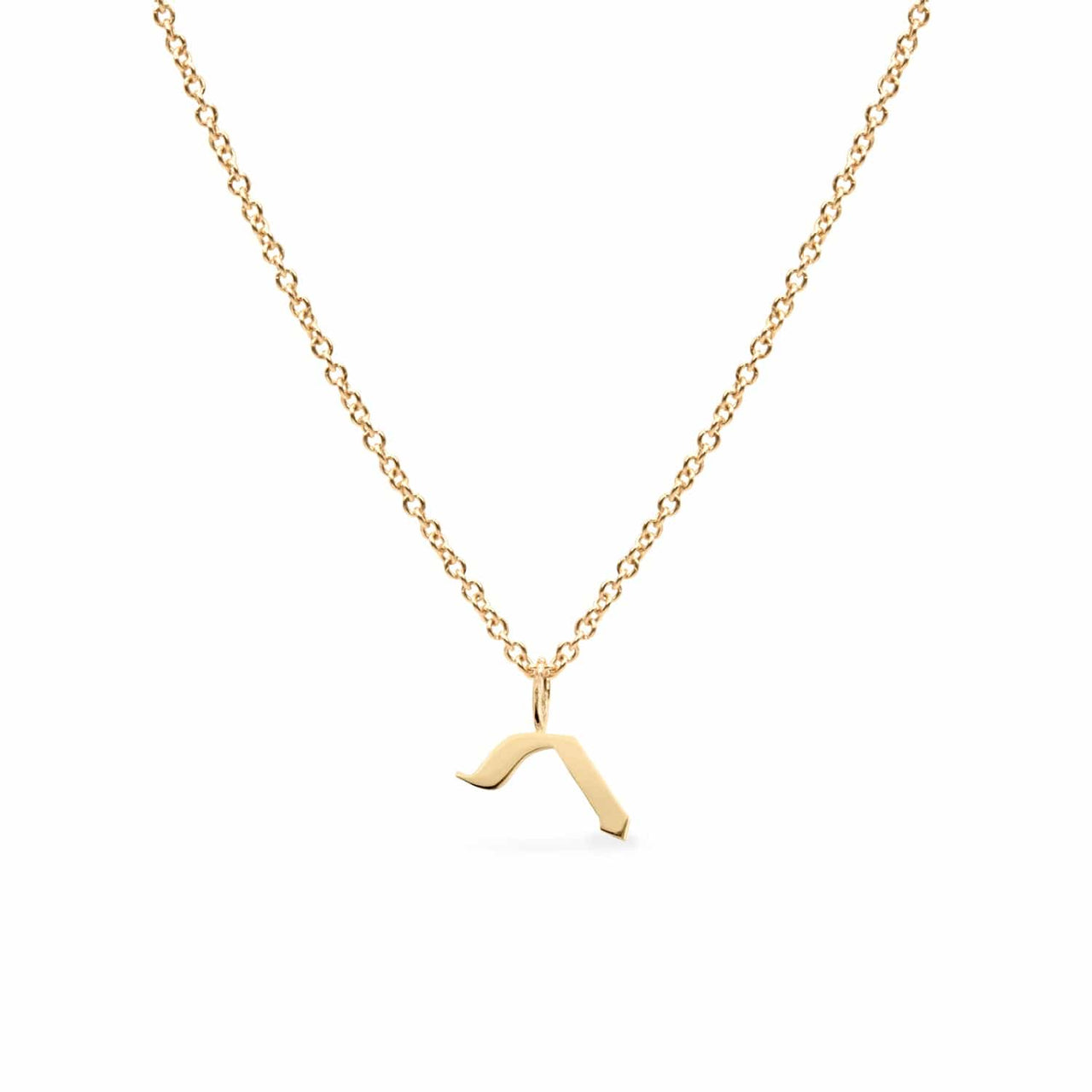 HOTCROWN - Personalized Hebrew Initial Necklace - 14k Yellow, Rose or White Gold - ModernTribe