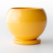 Tchotchke Judaica Kiddush Cups Mustard Bubble Kiddush Cup (Choice of Colors)