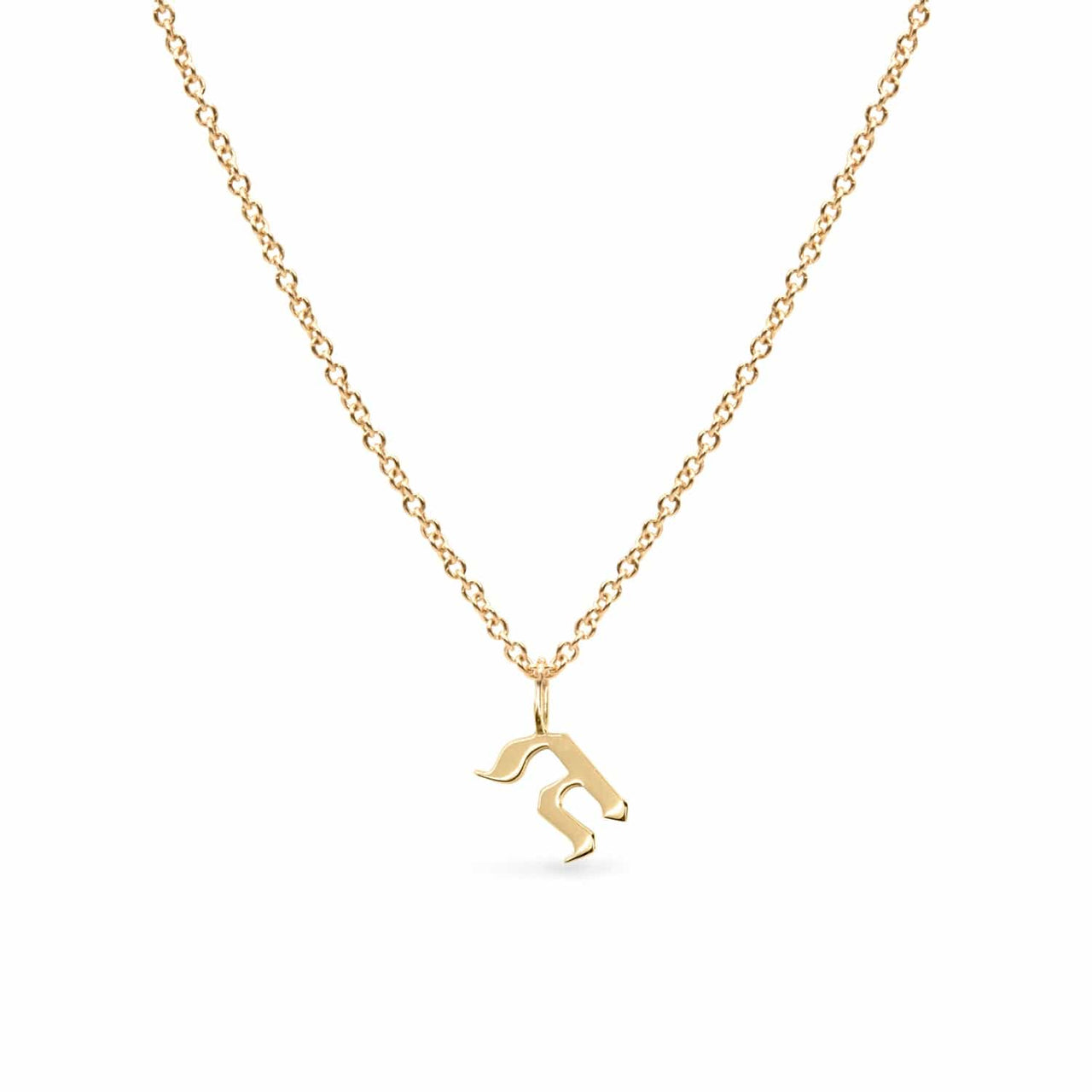 HOTCROWN - Personalized Hebrew Initial Necklace - 14k Yellow, Rose or White Gold - ModernTribe