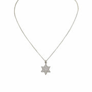 Love, Lisa Necklaces Amy Stunning Star of David Necklace