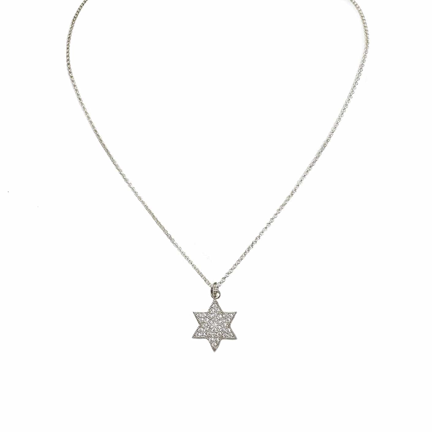 Love, Lisa Necklaces Amy Stunning Star of David Necklace