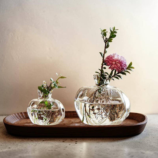Hydroponic Glass Pomegranate Vase - Clear