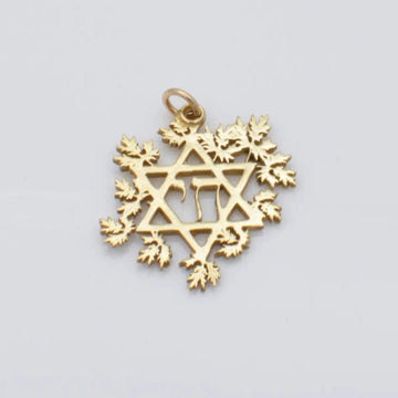 Dear Elaan Necklaces Artemisia Star of David and Chai Necklace