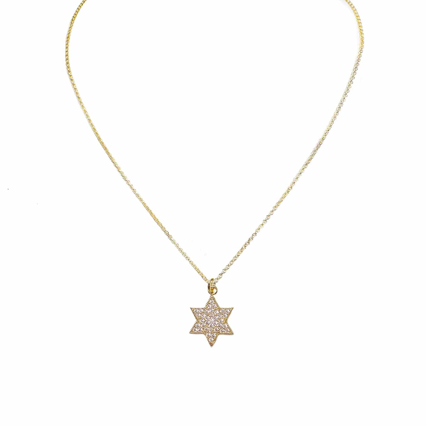 Love, Lisa Necklaces Amy Stunning Star of David Necklace