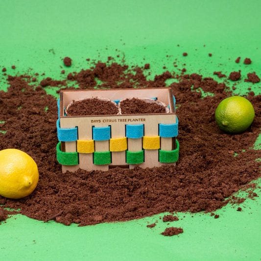 Days United - Jewish Holiday Kits - 1 Year Subscription Box - ModernTribe