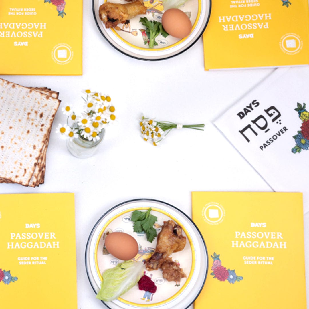 Days United - Individual Seder Plates - Set of 6 - ModernTribe