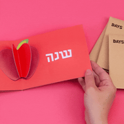 Days United Food Rosh Hashanah in a Box Kit