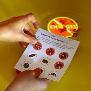 Days United Seder Plates DIY Passover Seder in a Box