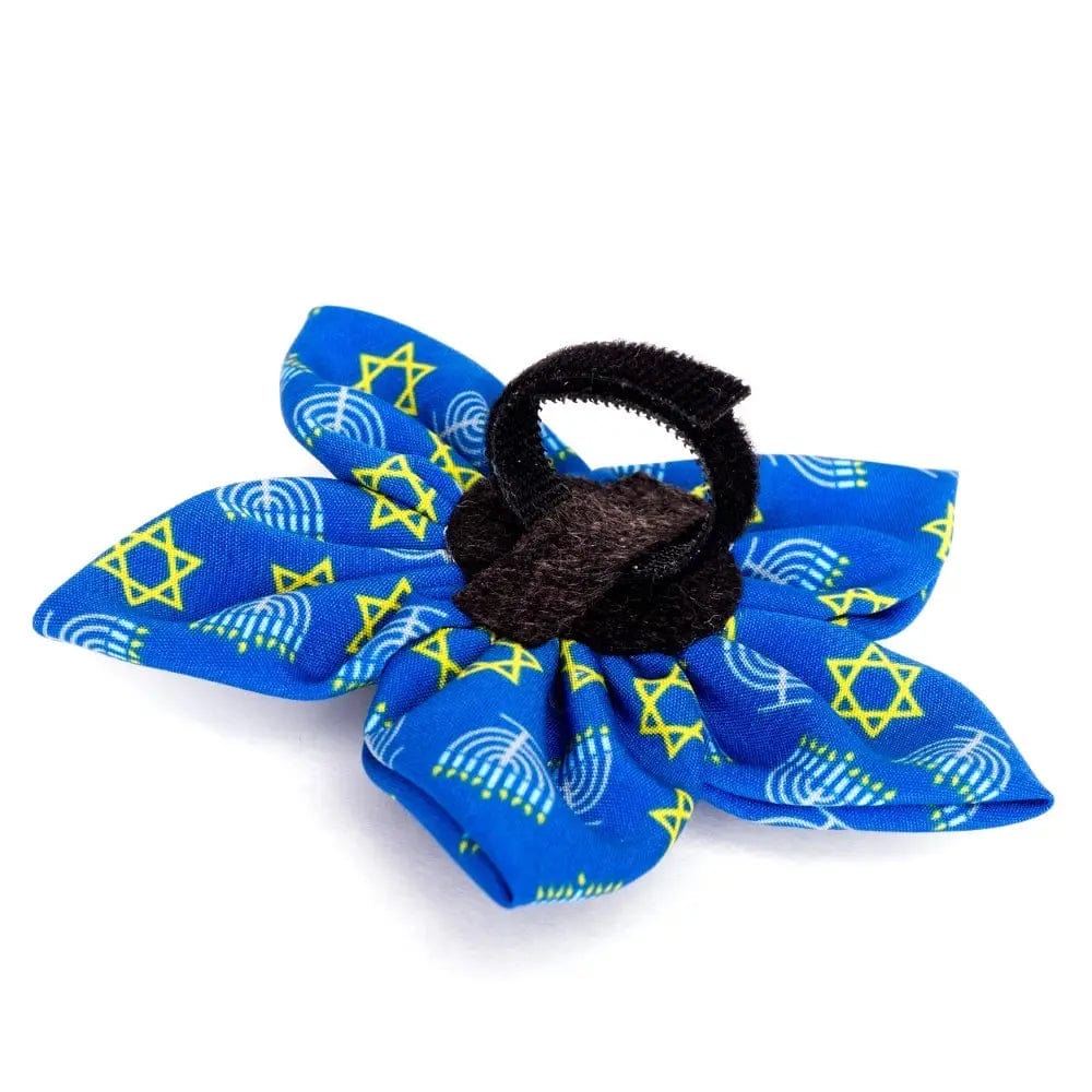 The Worthy Dog - Hanukkah Pet Flower Collar Attachment - ModernTribe