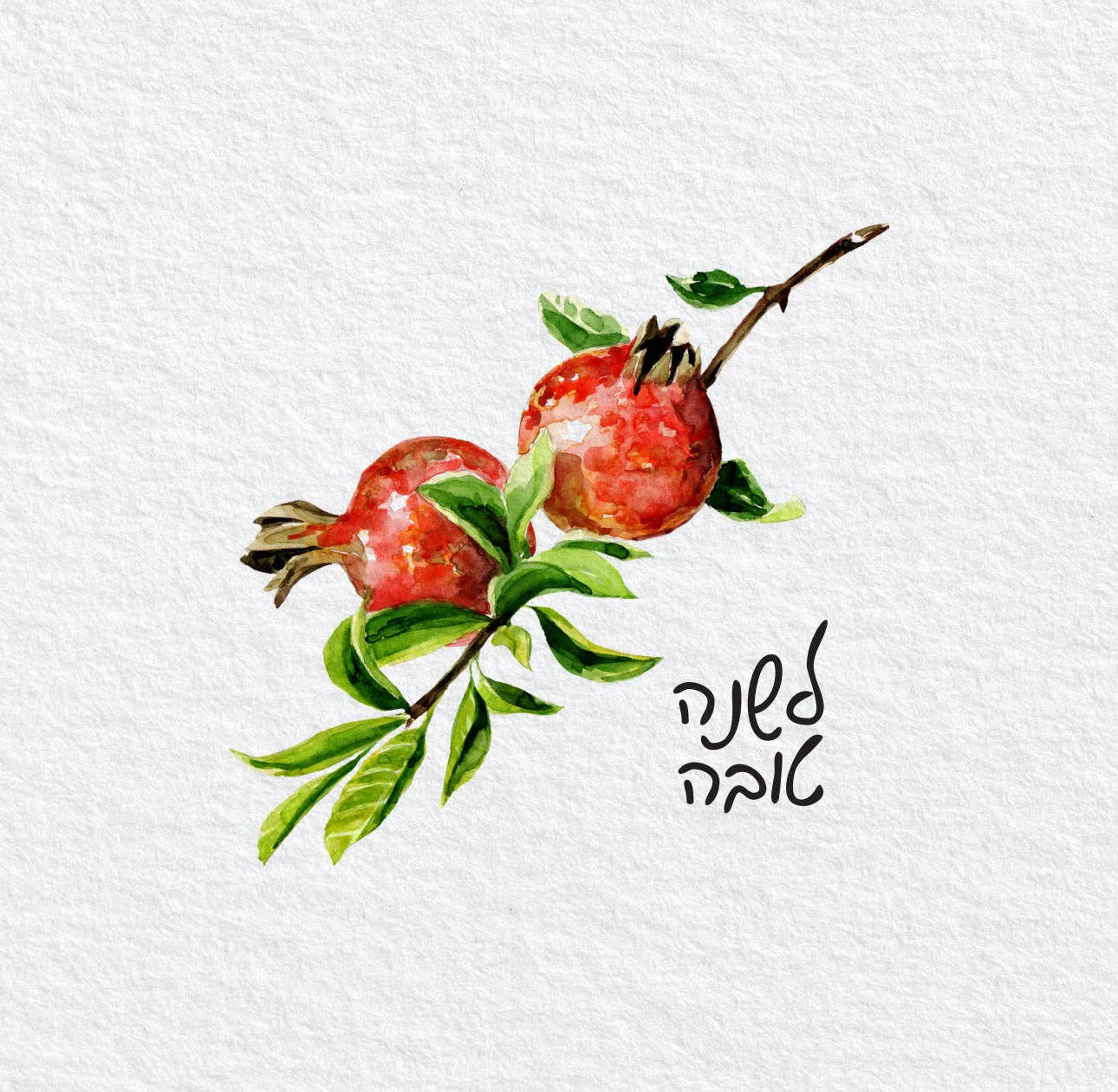 Altoonastore Pomegranate Watercolor (Hebrew) Cocktail Napkin