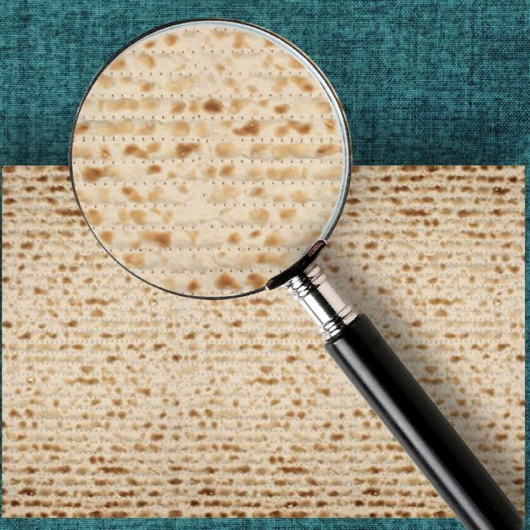 Altoona Store Placemats Matzah Printed Placemats - Set of 24