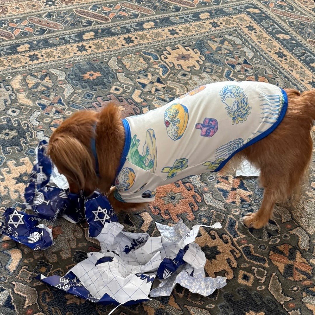 Amy Kritzer Becker - Hanukkah Light and Latkes Dog Pajamas - (Sizes S - XXL) - ModernTribe