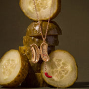 Alex and Ani Necklaces 'I Like My Pickle Spicy' Locket Necklace by Alex and Ani