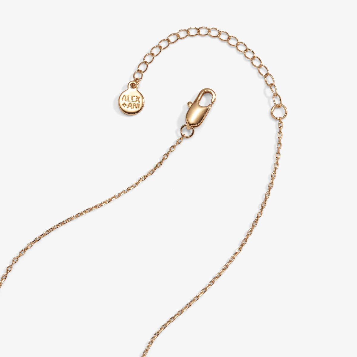 Alex and Ani Necklaces 'I Like My Pickle Spicy' Locket Necklace by Alex and Ani