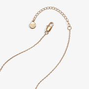 Alex and Ani Necklaces 'I Like My Pickle Spicy' Locket Necklace by Alex and Ani