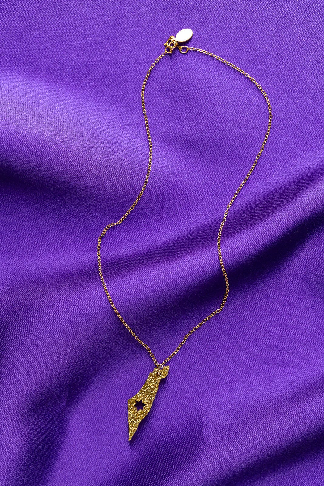Ariel Tidhar - Gold Glitter Israel Necklace with Star of David - ModernTribe
