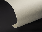 Tchotchke Judaica Ketubah Full Cup