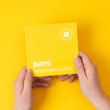 Days United Seder Plates DIY Passover Seder in a Box