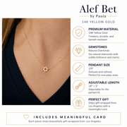 Alef Bet Necklaces Diamond Pendant with Jewish Star of David - 14k Yellow, White or Rose Gold
