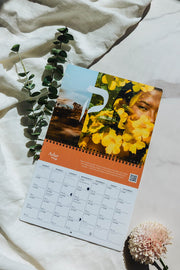 At The Well Calendars At The Well Lunar Rhythms 5786 Hebrew Calendar