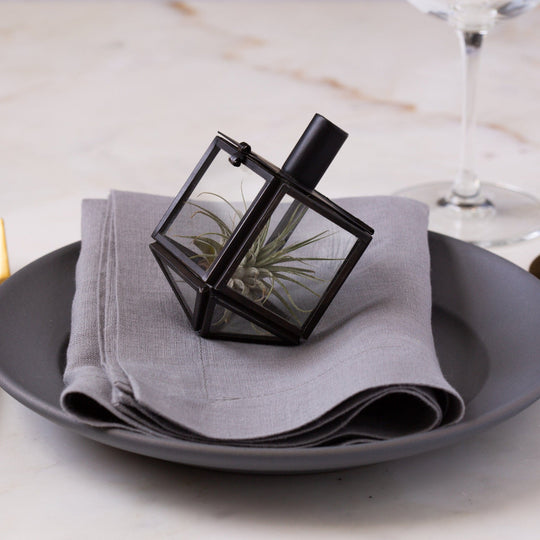 Talia Mini Dreidel Terrarium - Black