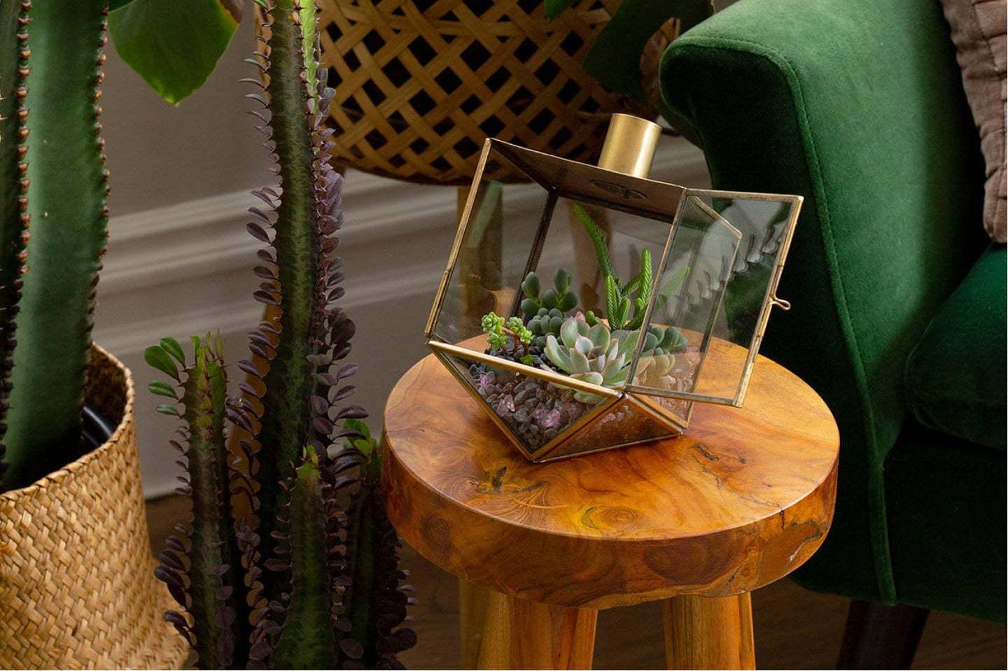 Adara Rituals - Talia Dreidel Terrarium - Gold - ModernTribe